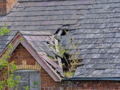 Professional emergency water extraction services services in Dade - water damage restoration service